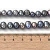 Dyed Natural Cultured Freshwater Pearl Beads Strands PEAR-A006-29A-5