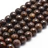 Natural Bronzite Beads Strands G-D840-18-10mm-1