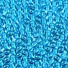 FGB Transparent Glass Seed Beads SEED-N013-01A-05-3