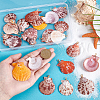25Pcs Natural Shell Pendants PALLOY-PH01859-3