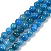 Natural Apatite Beads Strands G-D856-01-6mm-02-1