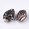 Spiral Shell Beads SSHEL-T008-23-2