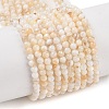 Natural Freshwater Shell Beads Strands X-SHEL-T011-02-4mm-1