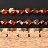 Natural Carnelian Beads Strands G-K389-B43-01-6