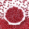 Transparent Glass Seed Beads SEED-N007-33B-04-2