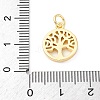 Brass Charms KK-S510-21G-3