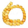 Natural Amber Beads Strands G-C260-A01-01-3