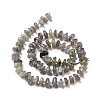 Natural Labradorite Beads Strands G-D480-A19-2