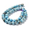 Natural Apatite Beads Strands G-G858-01C-2