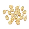 Electroplated Alloy Charms PALLOY-G267-10G-1