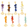 8Pcs 8 Styles Gemstone Pendant Decorations HJEW-FH00002-1