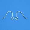 304 Stainless Steel Earring Hooks STAS-B047-31S-2