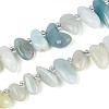 Natural Flower Amazonite Beads Strands G-Z091-A36-4