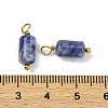 Natural Sodalite Cloumn Pendants STAS-H221-04G-06-3