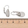 316 Stainless Steel Leverback Earring Findings STAS-Q353-03B-P-3