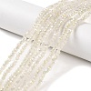 Electroplate Glass Faceted Rondelle Beads Strands EGLA-D020-3x2mm-05-A-6