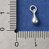 925 Sterling Silver Charms STER-M120-01C-S-3