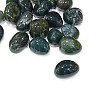 Natural Moss Agate Beads G-G979-A24-2