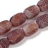 Natural Weathered Agate Beads Strands G-NH0047-B02-02-2