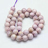 Round Natural Kunzite Beads Strands G-K068-28-10mm-3