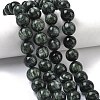 Natural Seraphinite Beads Strands G-C270-O01-13-1