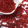 Glass Seed Beads SEED-H002-C-A051-1