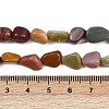 Natural Alashan Agate Beads Strands G-Q060-E19-02-7
