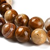 Natural Wood Lace Stone Beads Strands G-B128-A04-04-4