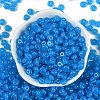 Transparent Colours Glass Seed Beads SEED-P008-01B-08-3