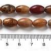 Natural Picture Jasper Beads Strands G-B106-B21-01-5