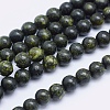 Natural Serpentine/Green Lace Stone Beads Strands X-G-P345-01-4mm-1