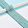 Grade A Natural Amazonite Beads Strands G-C046-01C-2