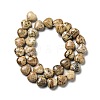 Natural Picture Jasper Beads Strands G-B022-14C-3