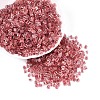 Transparent Inside Colours Glass Seed Beads SEED-T007-13G-3