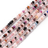 Natural Mixed Stone Beads Strands G-F717-03-1