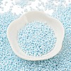 Baking Paint Glass Seed Beads X-SEED-S042-05B-64-2