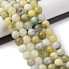 Natural New Jade Beads Strands G-F591-16-10MM-3