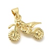 Rack Plating Brass with Cubic Zirconia Pendants KK-Z086-32G-1