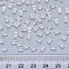 2-Hole Transparent Glass Seed Beads X-SEED-S031-M-001-3