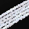 Frosted Transparent Glass Beads Strands GLAA-N054-4mm-01-1