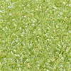 MIYUKI Delica Beads X-SEED-J020-DB0174-1