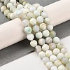 Natural Green Opal Beads Strands G-Z035-A02-04A-2