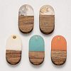 Resin & Walnut Wood Pendants RESI-S384-006A-1