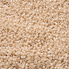 MIYUKI Delica Beads SEED-JP0008-DB0205-4