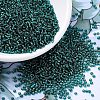 MIYUKI Round Rocailles Beads SEED-X0054-RR0030-1