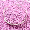 Macaron Color Opaque Frosted Glass Seed Beads SEED-K009-12B-05-2