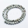 Natural Sesame Jasper/Kiwi Jasper Beads Strands X-G-I199-29-8mm-2