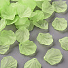 Transparent Frosted Acrylic Pendants MACR-S371-01A-728-1