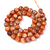 Dyed & Heated Natural Fire Crackle Agate Beads Strands G-N359-01A-06-3