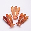 Natural Red Agate Home Display Decorations LS-DJEW-L009A-03-2
